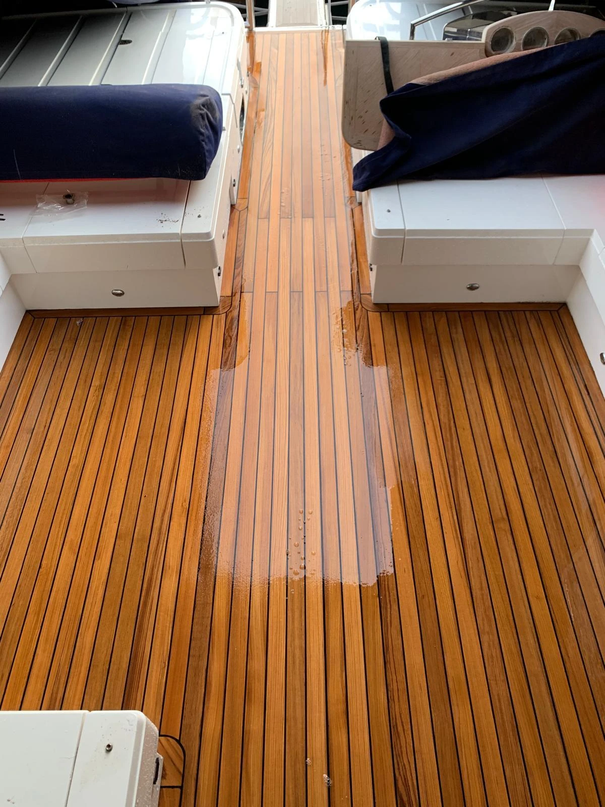 WhatsApp Image 2026-02-11 at 14.59.19 (4)