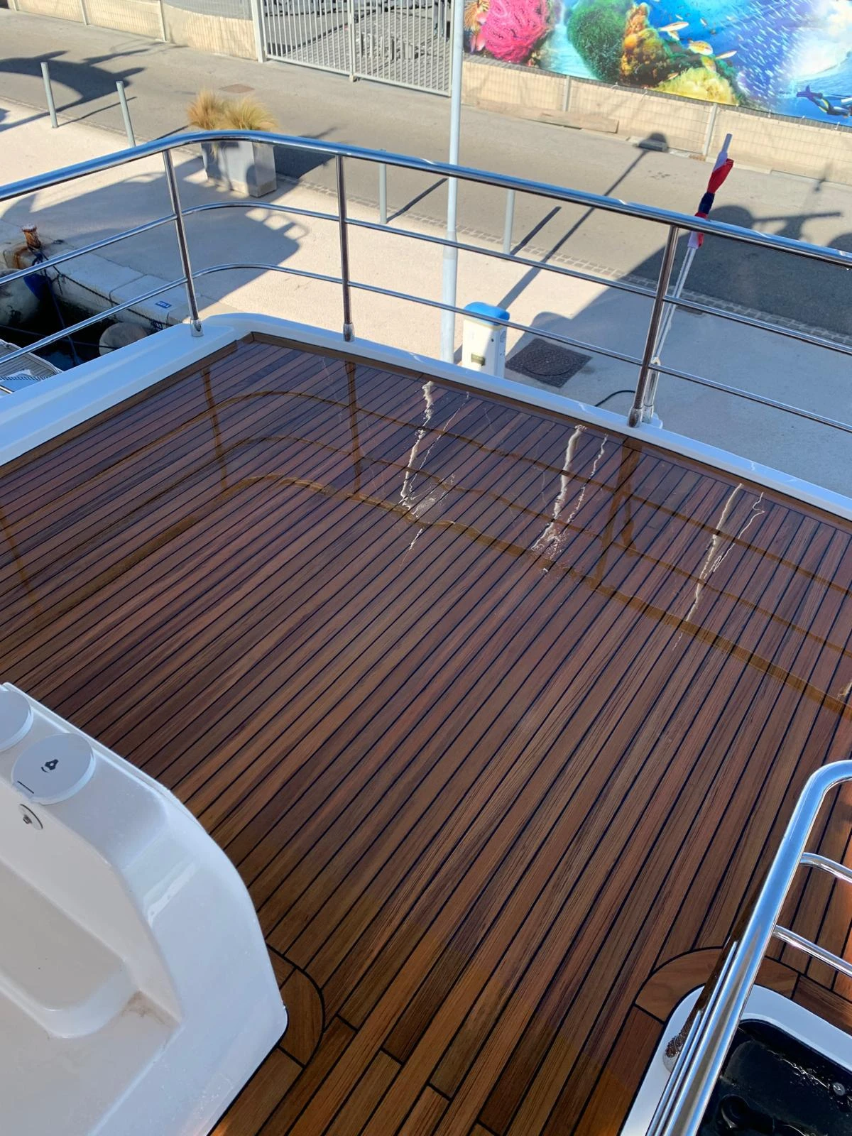 WhatsApp Image 2026-02-11 at 14.59.23